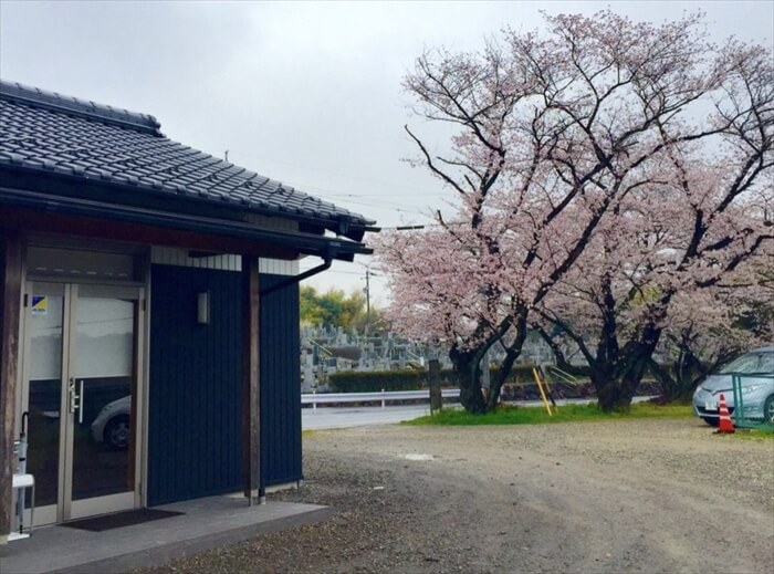 セラピストに求められたもの